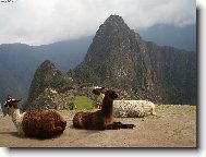 na Machu Picchu
